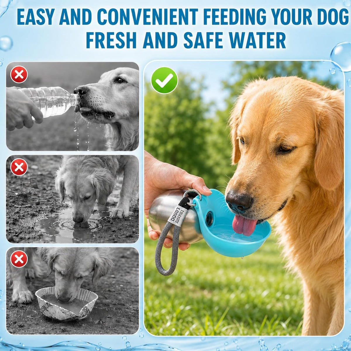 2-in-1 Portable Dog Water Bottle with Stainless Steel Bowl